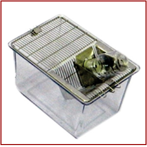 polycarbonate rat cages